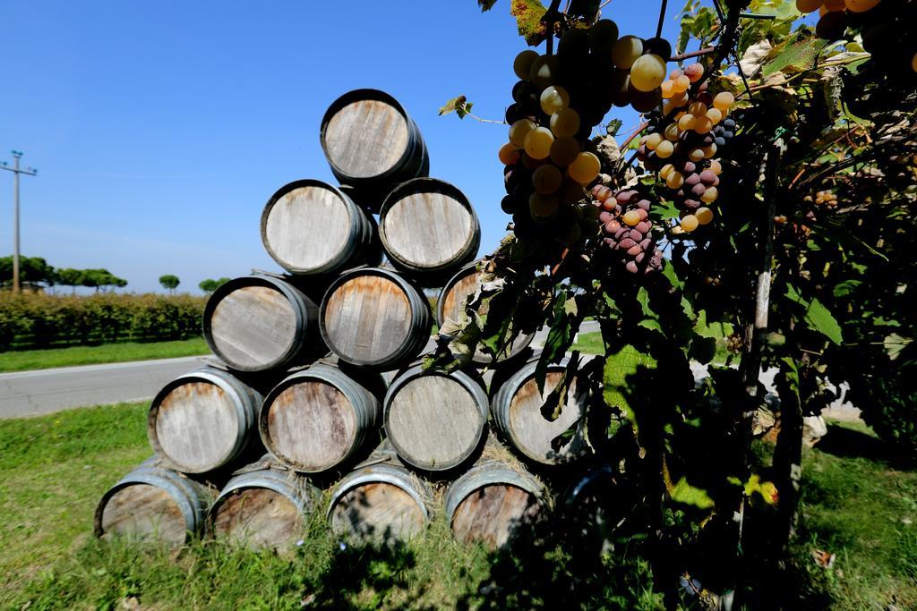 Agriturismo Trere Faenza Luaran gambar